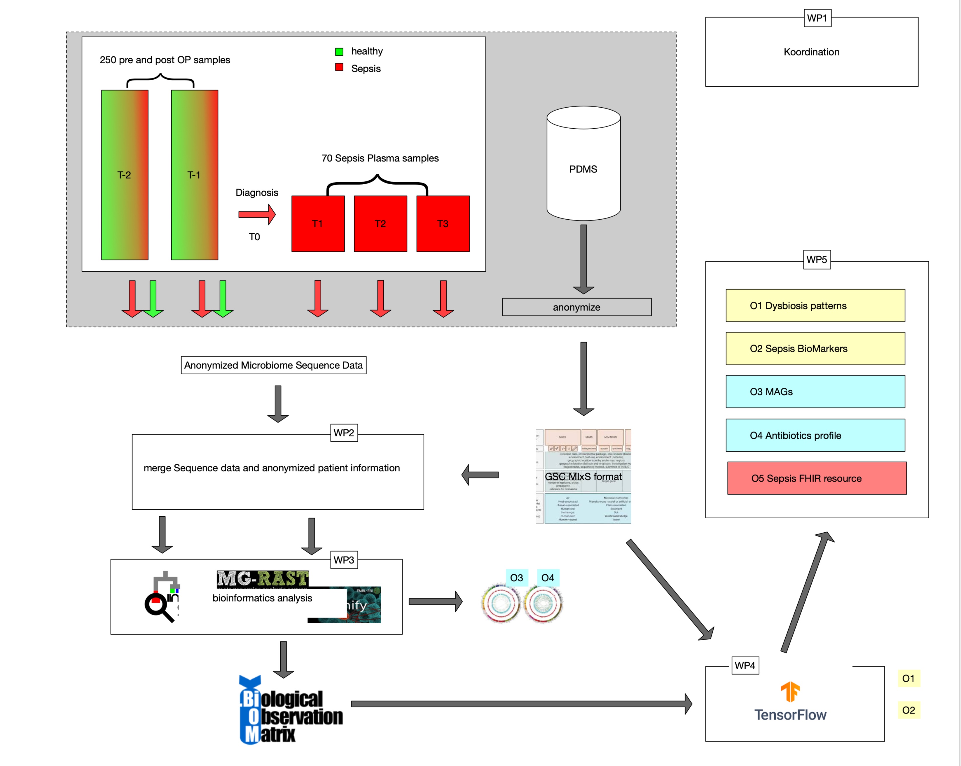 Schematic View of MicrobiomSpesisPred